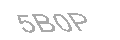 Güvenlik Kodu